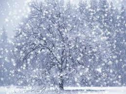 Wash me, and I shall be whiter than snow.  Psalm 51:7