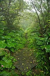 path