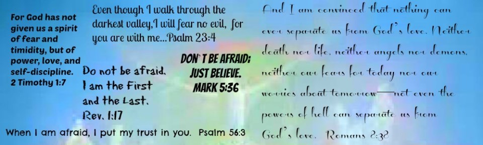 No Fear