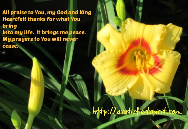 Prayer Lily