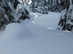 blizzard