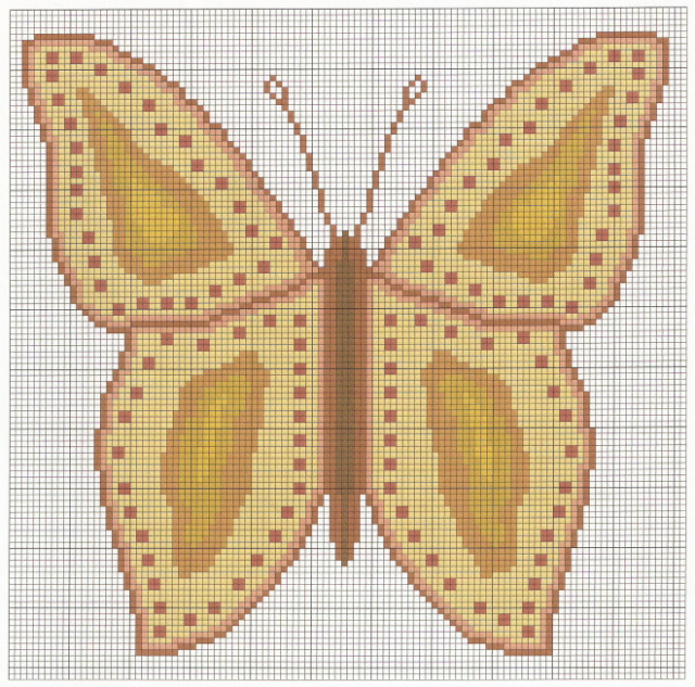 butterfly-10001