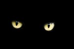 eyes-218185_960_720