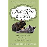 511o5akk8bl-_ac_us160_