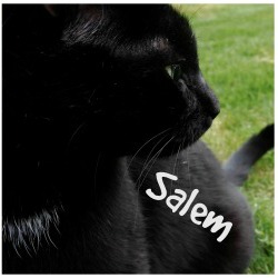 salem