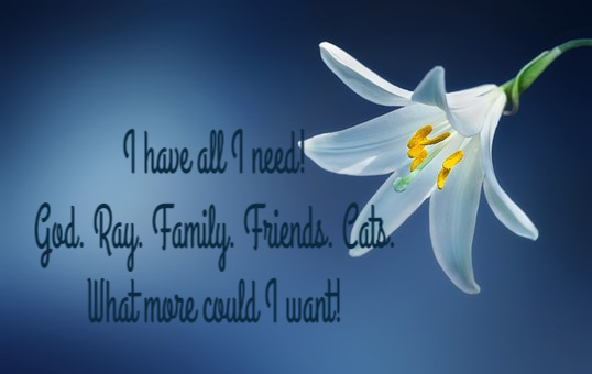 Want Haiku